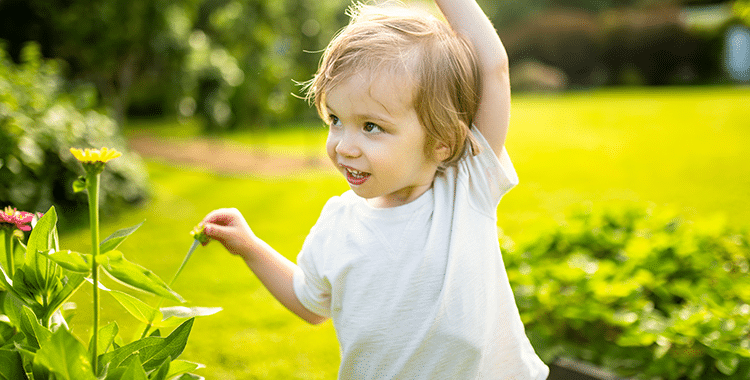 Child Development Theories in Practice: How Nursery in a Box Supports Every Child’s Growth
